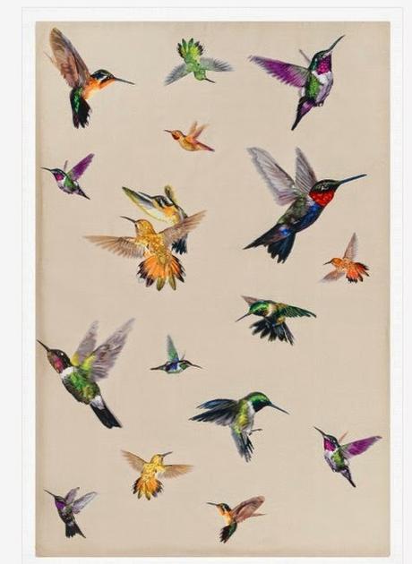 Birds In The Bedroom!