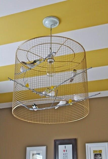 Birds In The Bedroom!