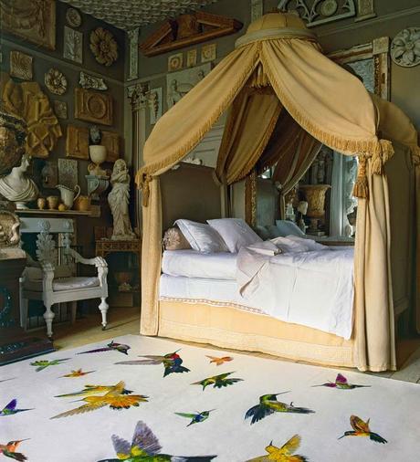 Birds In The Bedroom!