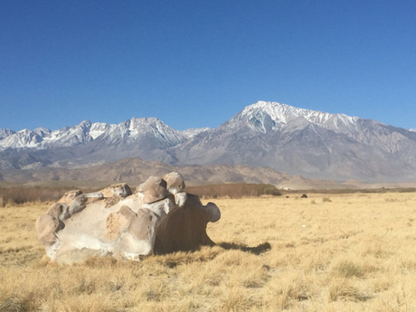 Further North, outside Bishop, are the Chalk bluffs and Volcanic Areas. Happy and Sad boulder trails and this 