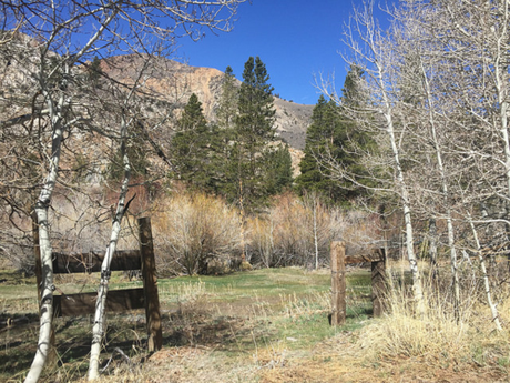 On the road to Lake Sabrina, there were other fun finds. These places may seem vaguely familiar - lots of Western Television and films were shot in the Eastern Sierras - even a recent Lifetime (or maybe Hallmark?) Christmas movie was shot here.