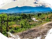 Postcard: West Timor, City Mountains #TheWeeklyPostcard
