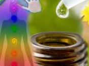 Essential Recipe Blends Dilutions Energy Work; Clearing Balancing Chakras