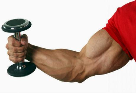 How To Build Bigger Biceps