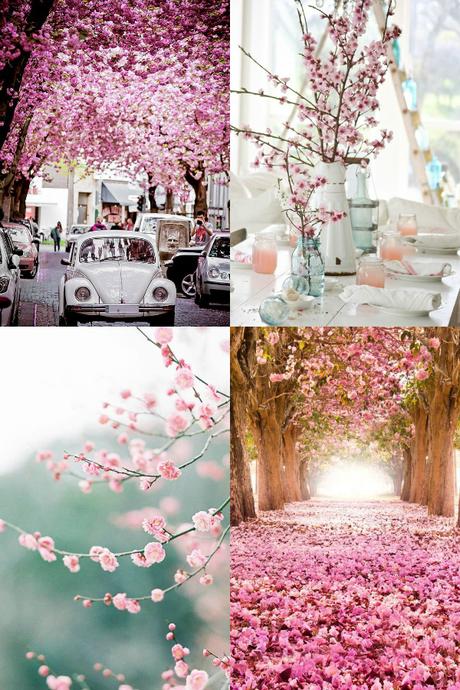 Cherry Blossoms Mood Board MAIN FAF
