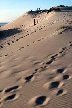 Desert shores, shore desert DSC_9236