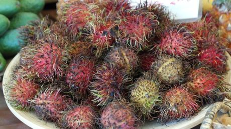 Rambutan Benefits Uses