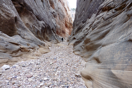 Day 26: Cold Road To Cool Narrows