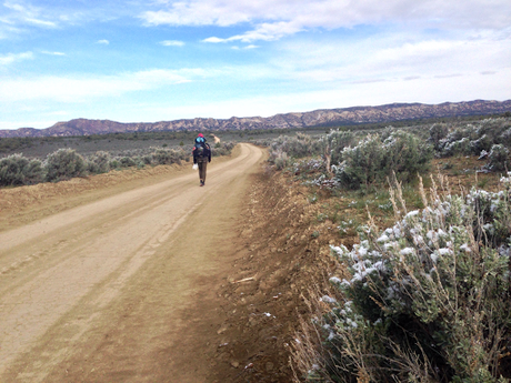 Day 26: Cold Road To Cool Narrows