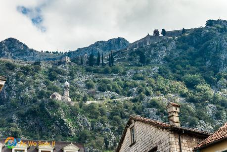 One Day in Kotor, Montenegro