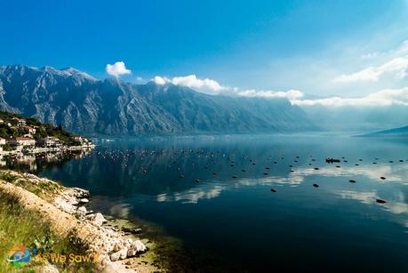 One Day in Kotor, Montenegro