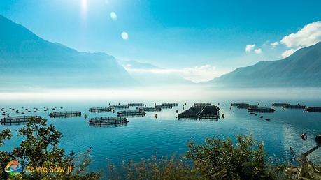 One Day in Kotor, Montenegro