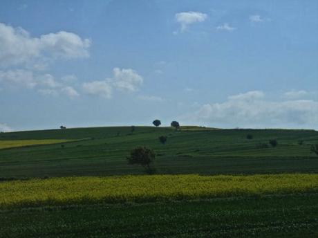 Fields of green and gold greeted us as we made our way to Gallipoli on Anzac Day eve. 