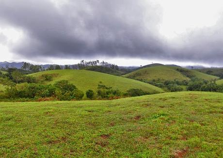 Vagamon has been identified as the best eco-tourist destination