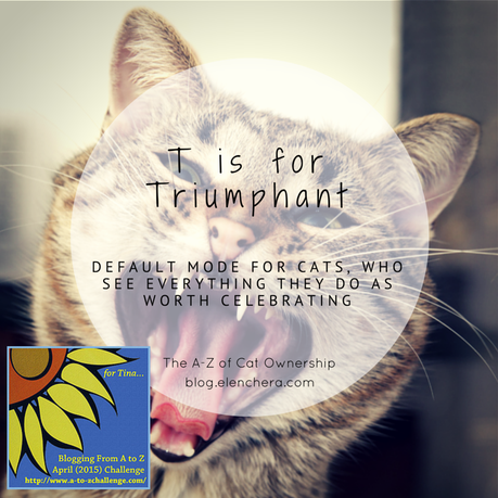 A-Z of Cats: T is for Triumphant (#AtoZChallenge)
