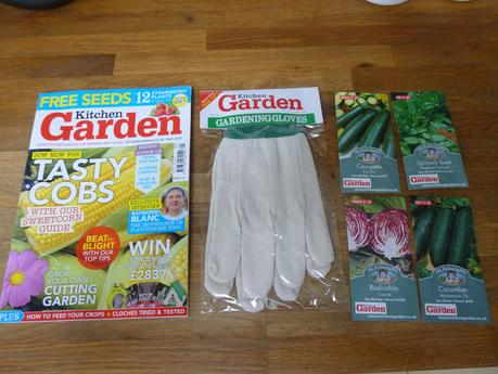 In the Polytunnel