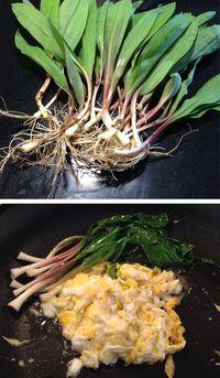 Ramps-eggs