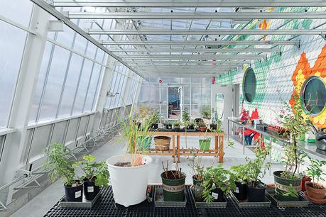 the steel and glass greenhouse of a Brooklyn school's learning garden