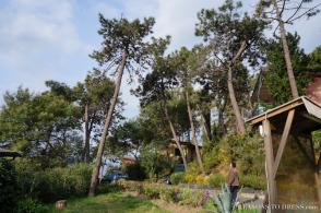 La Francesca Resort, a family paradise vacation in Le Cinque Terre