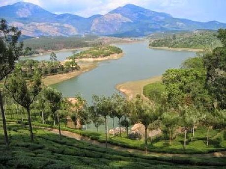 Many green hill stations that tower over the vast plains of Kerala Munnar