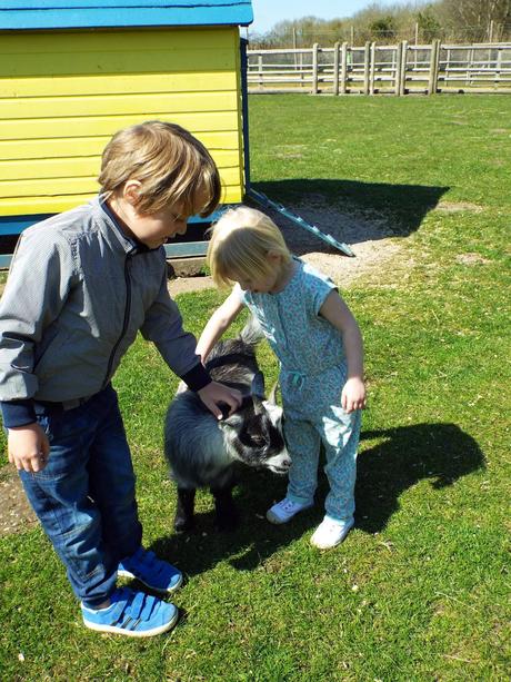 A Day Out at our Local Adventure Farm