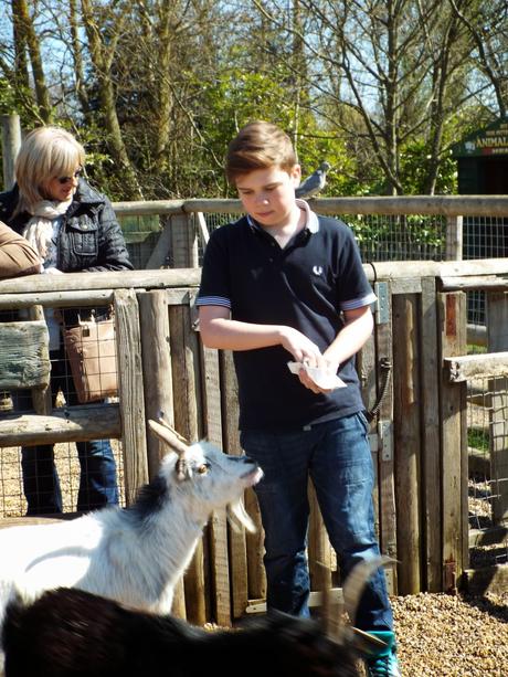 A Day Out at our Local Adventure Farm