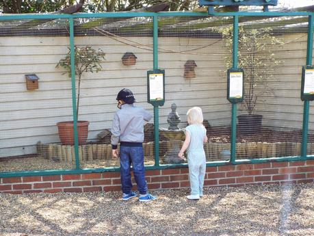 A Day Out at our Local Adventure Farm