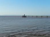 Coastal Walk Clevedon Portishead