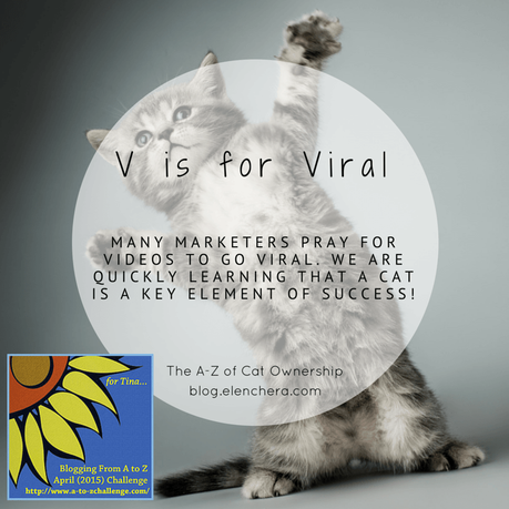 A-Z of Cats: V is for Viral (#AtoZChallenge)