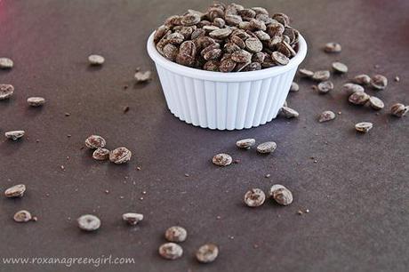 Chocolate Chips Cookies