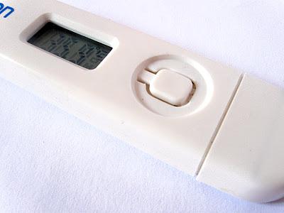 Do cheap thermometers work?