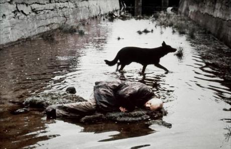 Tarkovsky Marathon #4: Stalker (1979) [8/10]