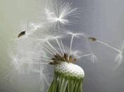 Open Invitation Chorus