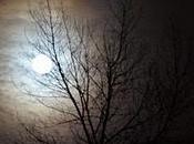 Scotland: Creeping Unease Country Call Home