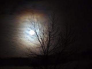 Scotland: My creeping unease in the country I call home