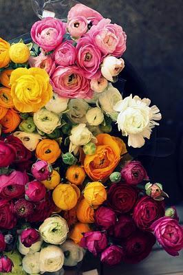 The Ultimate Seasonal Flower Guide | UK Wedding Blog