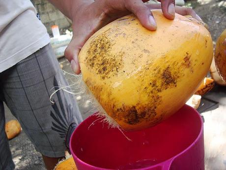 Buko juice with Sweetened Condensed Milk