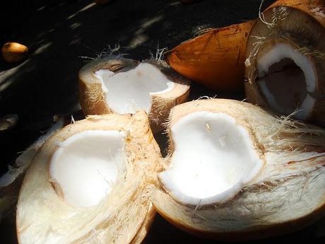 Buko juice with Sweetened Condensed Milk