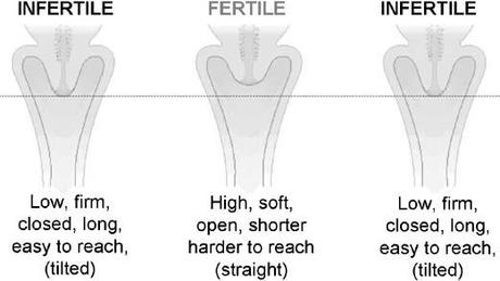 Get Your Fertility Facts Right!