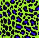 Animal tastic Prints