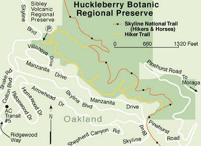 The Oakland Hills:  Huckleberry Nature Trail