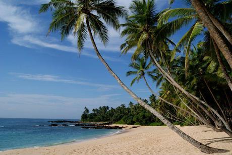 Sri Lanka's beautiful south coast