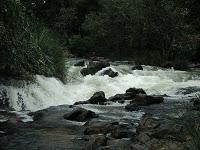 45) Hogenekkal waterfalls- - the forest ride: (3/11/2011)