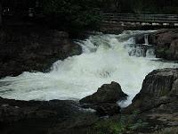 45) Hogenekkal waterfalls- - the forest ride: (3/11/2011)