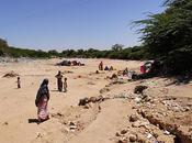 East Africa’s Drought: ‘avoidable Disaster’ That Claimed 100,000 Lives