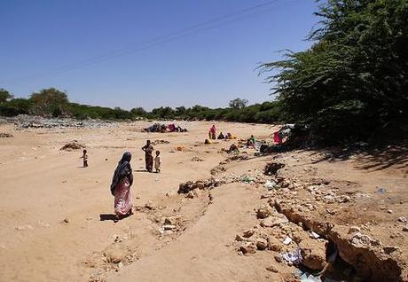 East Africa’s drought: The ‘avoidable disaster’ that claimed 100,000 lives