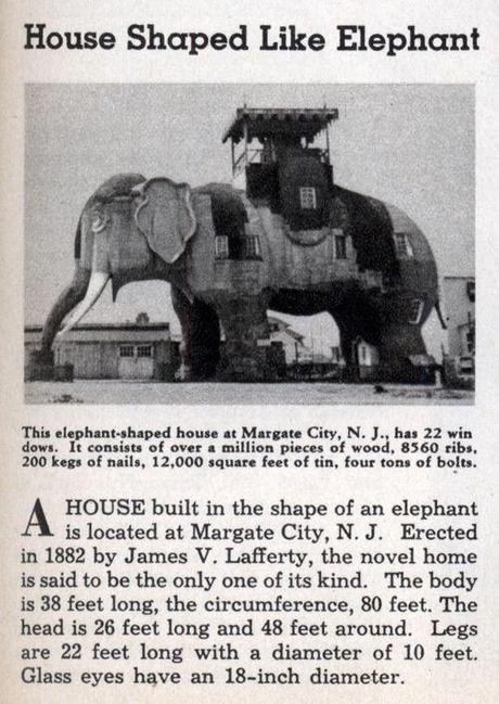 Elephant_house