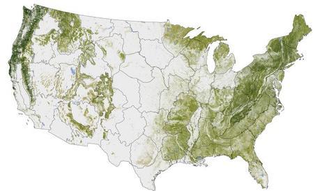 Where the Trees Are: New Biomass Map Shows Forest Cover Across the U.S.