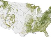 Where Trees Are: Biomass Shows Forest Cover Across U.S.