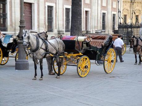 International Inspiration- Seville Spain